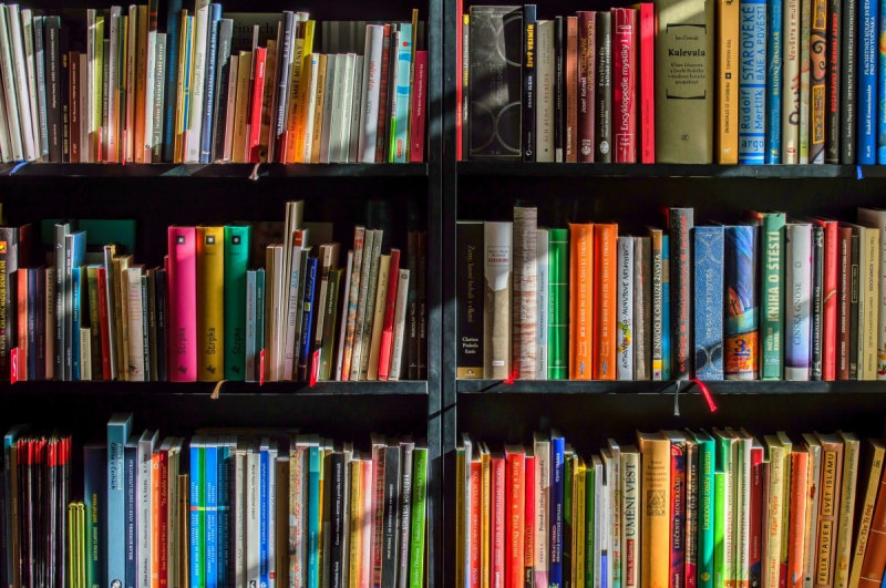 magasin-CHATEAUDOUBLE-min_books_bookstore_book_reading_shop_writer_sale_books_read-822866